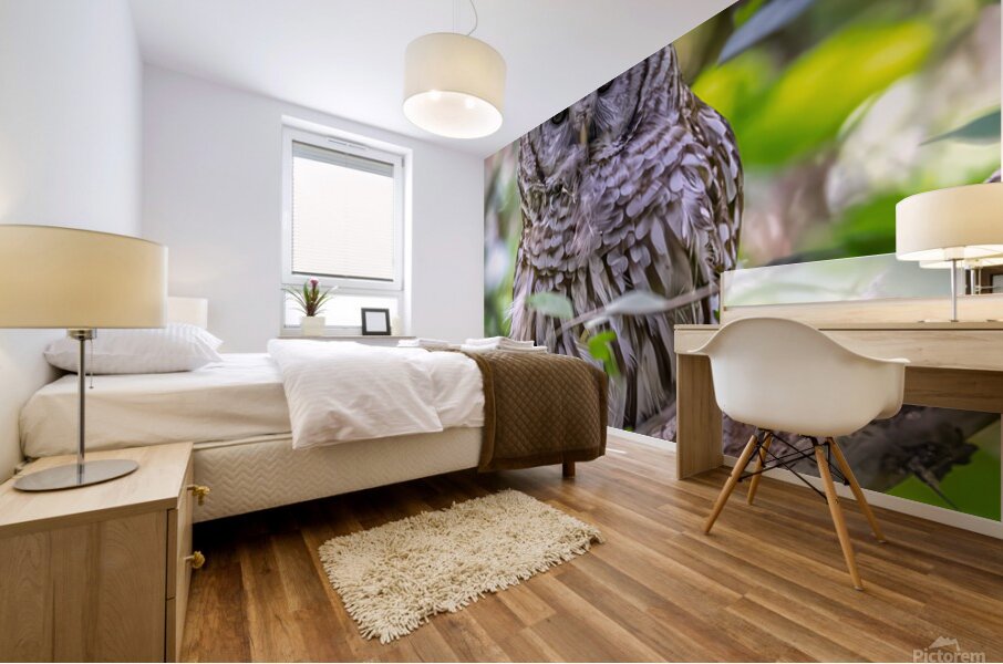 Observant Mural print