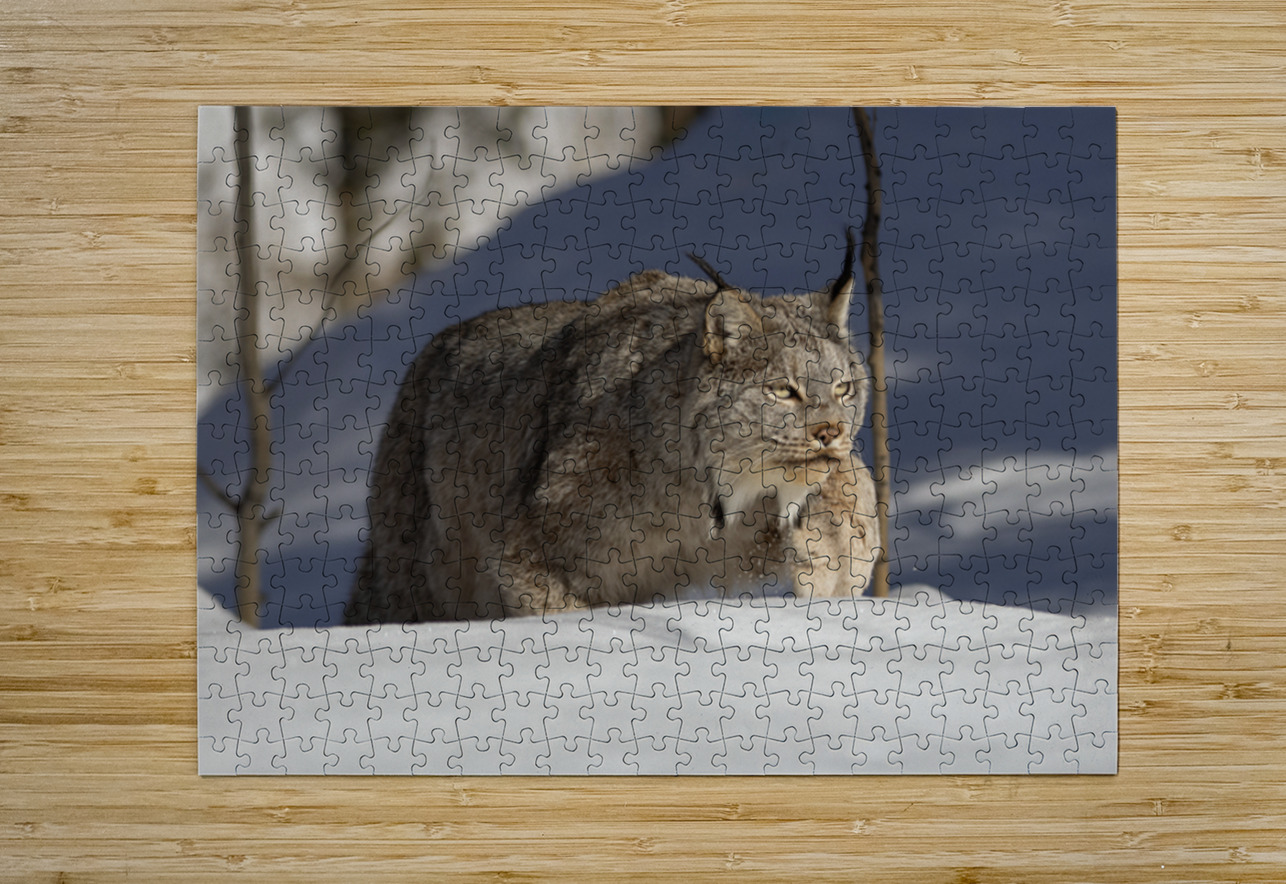 Stalking Andrea Belcher Puzzle printing