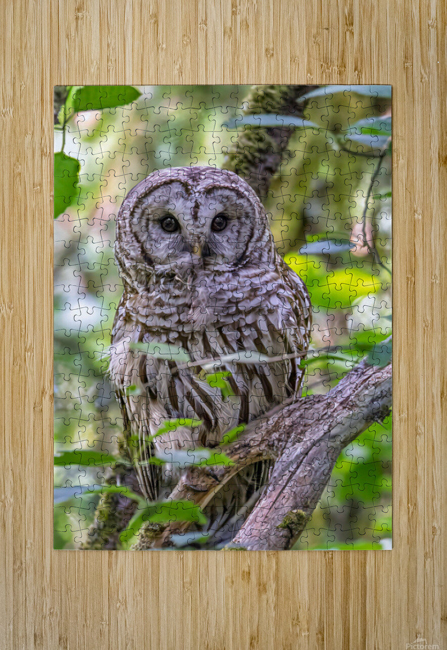 Observant Andrea Belcher Puzzle printing