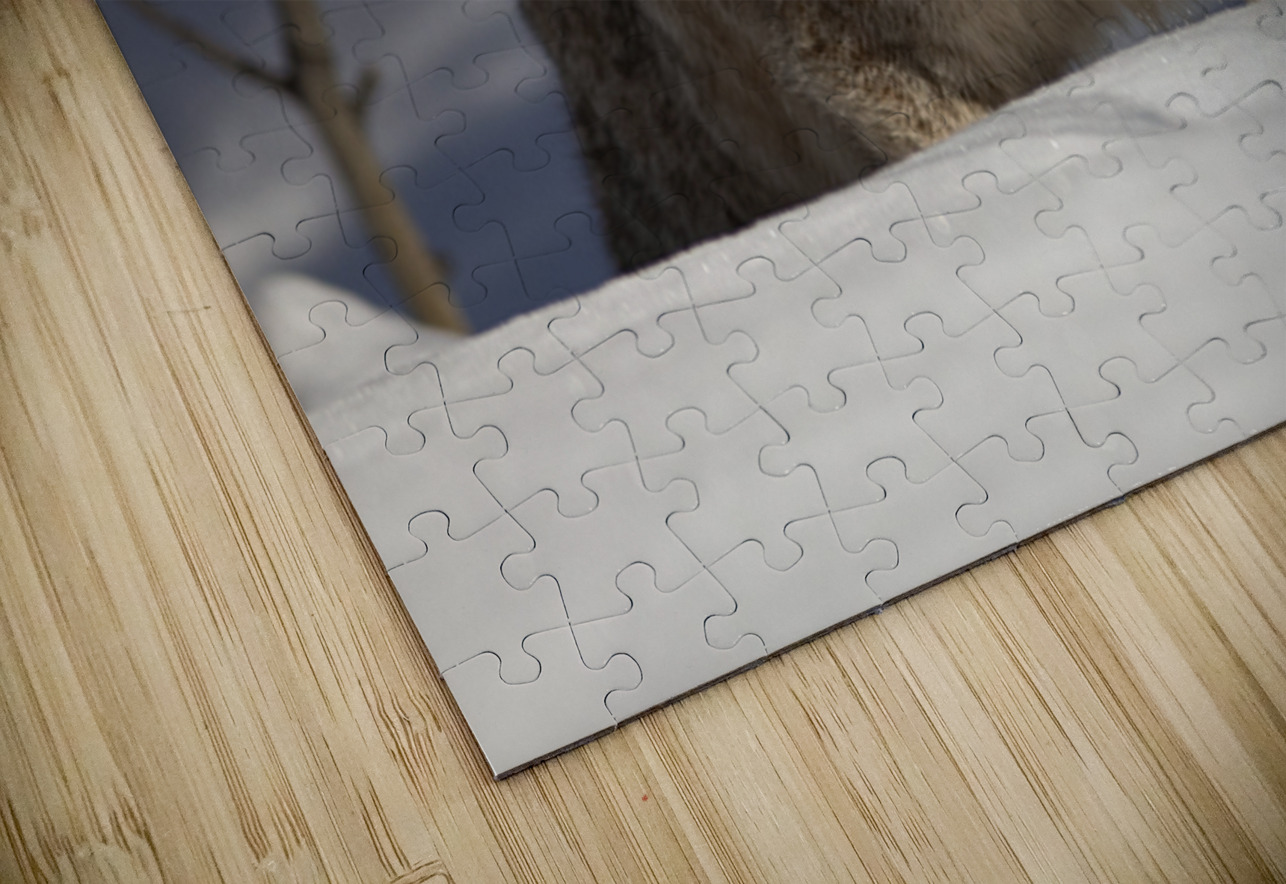 Stalking Andrea Belcher Puzzle