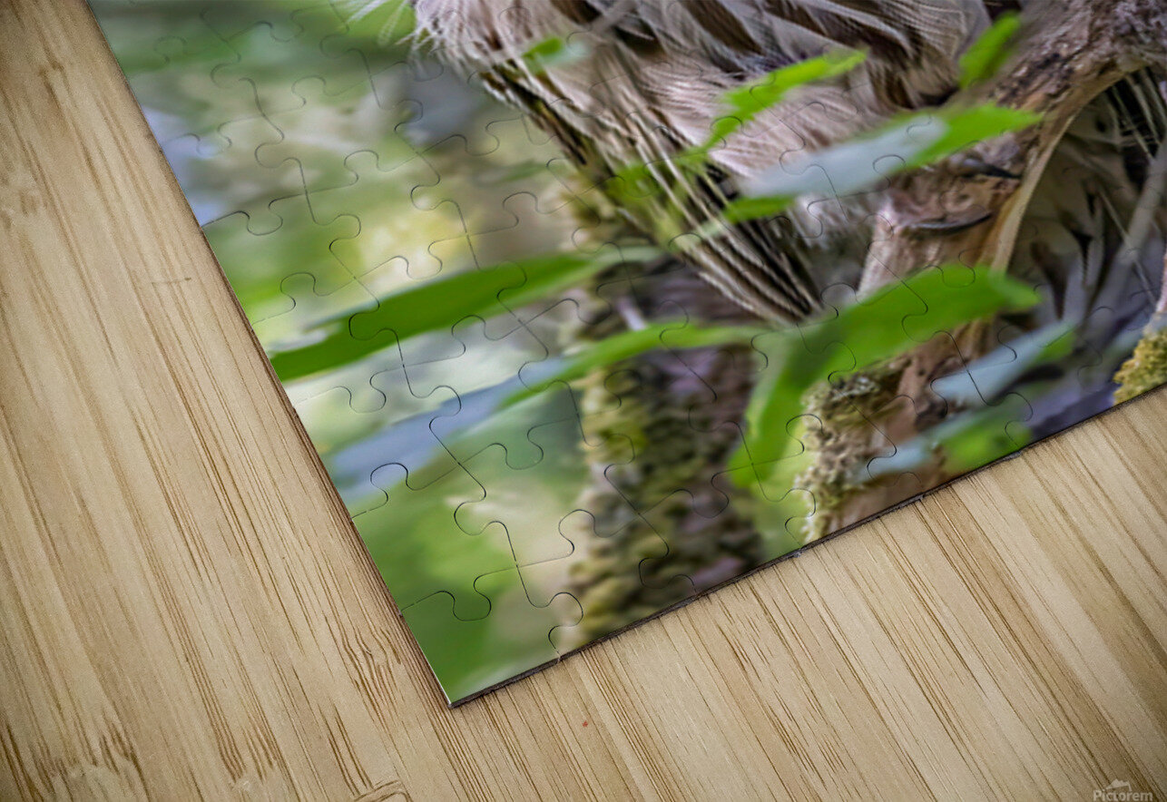 Observant Andrea Belcher Puzzle